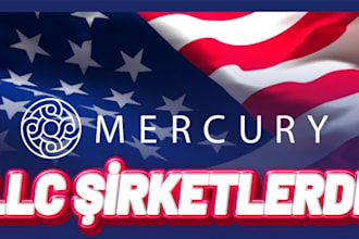 setup mercury bank ,usa llc wise stripe bank