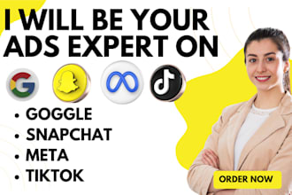 set up and manage high performing ads on meta google tiktok snapchat