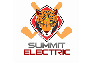 design summit electric hockey team logo
