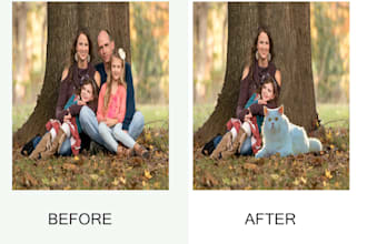 professionally add or remove objects from image photoshop