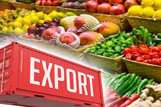 do logistics services, import and export worldwide, fcl,lcl