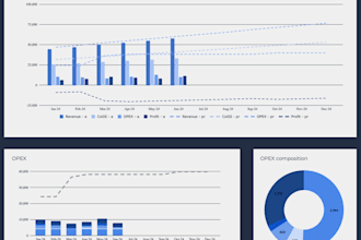 develop a financial model with custom dashboards for your business