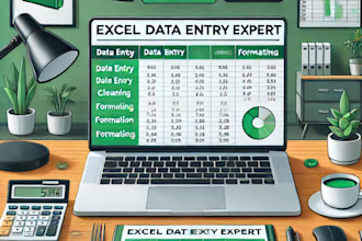 do excel data entry  inventory management