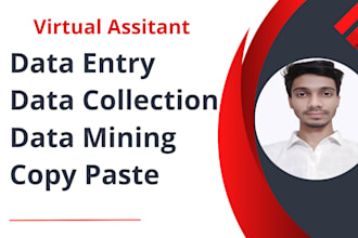 do fast and accurate data entry data mining and PDF to excel word conversion