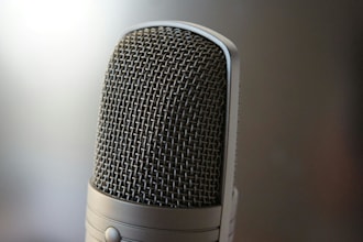 do turkish voice over work