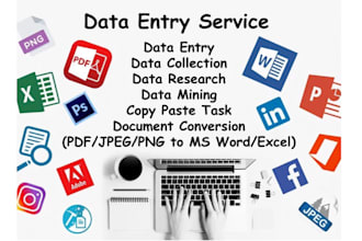 do data entry, copy paste, data scraping, email leads, pdf to excel data entry
