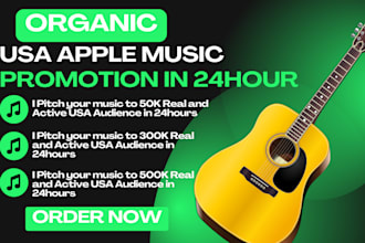 do organic USA apple music promotion, spotify itunes music promotion in 24hours