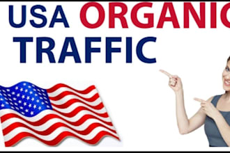 organic USA,UK website traffic to increase sales