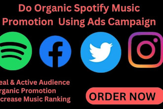 do organic spotify music promotion using ads campaign for your spotify music