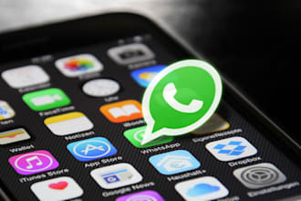 whatsapp channel followers whatsapp community bulk sms whatsapp channel 50k gain