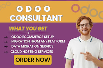 odoo consultant odoo mentor expert coach odoo database migration odoo developer