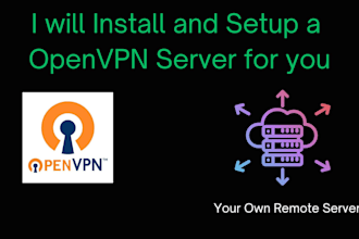 setup a open VPN server for you