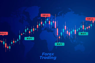 create forex trading website, crypto, stock trading website, app development