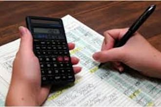 be your virtual accountant for an hour