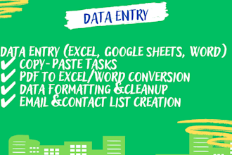 do accurate data entry,and copy paste work