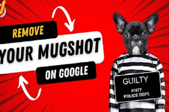 delete negative links, remove mugshots, court cases,remove mugshots,new article