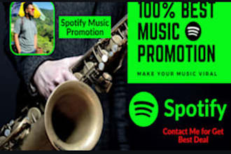 do organic music SEO, spotify music, spotify album promotion