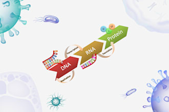 transform your bioinformatics projects or research into real insights