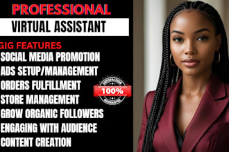 be shopify social media ads marketing manager virtual assistant ads campaign