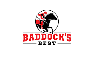 create modern exciting horse racing tipping service logo