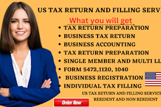prepare and file US tax returns for personal corporate and llc