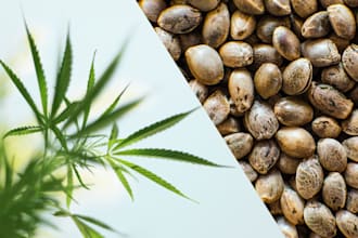 build cbd shopify website, hemp, medical and dropshipping store