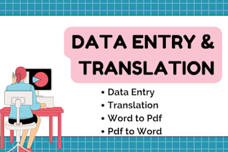 do data entry and translation job