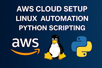 set up linux servers, python scripts, AWS cloud infrastructure