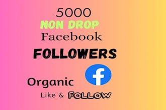 get 1000 facebook page followers and like