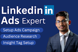 setup and manage linkedin ads campaign, b2b lead, tiktok ads, marketing strategy