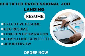 write executive resume editing CEO resume writing and cover letter