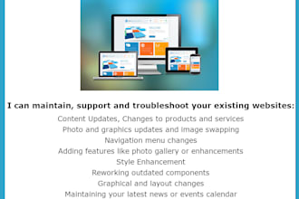 website maintenance and support