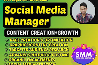 be your expert social media manager for facebook, instagram, tiktok, linkedin