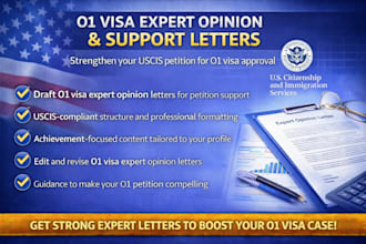 write o1 visa expert opinion and support letters