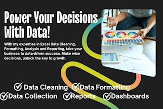 do excel data entry, data cleaning, formatting, reports and data visualizations