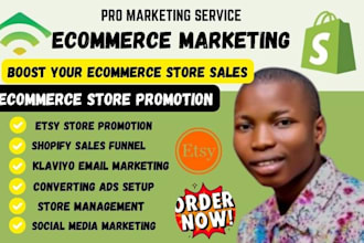 promote your etsy, shopify, and ebay store with SEO and organic website traffic