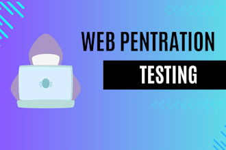 secure your website with expert web penetration testing