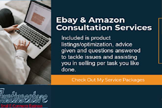 provide ebay and amazon consultation plus virtual assistance