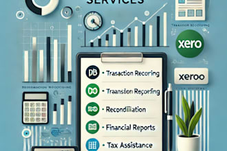 provide professional bookkeeping services using quickbooks, xero, or excel