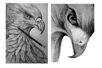draw a  realistic animal sketches, illustration, anime and cartoon