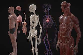 sculpt realistic human anatomy, body part, organ,print bone, muscles,3d skeleton