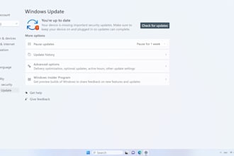 update windows 10 or 11