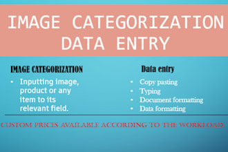 do data entry and image categorization