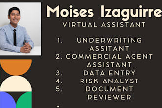 be your virtual assistant for data entry, underwriter and agent assistant