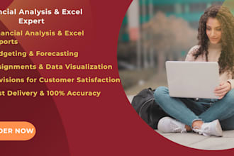 do professional financial analysis and excel data reports