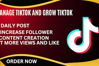 manage tiktok and grow tiktok organically