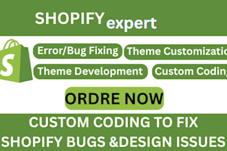 do shopify bug fix custom code and shopify developer services