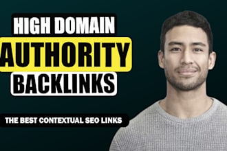 do 100 high authority SEO backlinks service link building