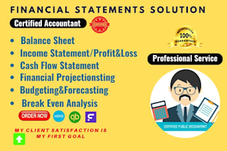 prepare balance sheet, profit and loss, income statement and data entry service