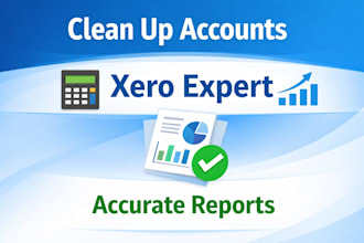 clean up xero bookkeeping and reconcile accounts